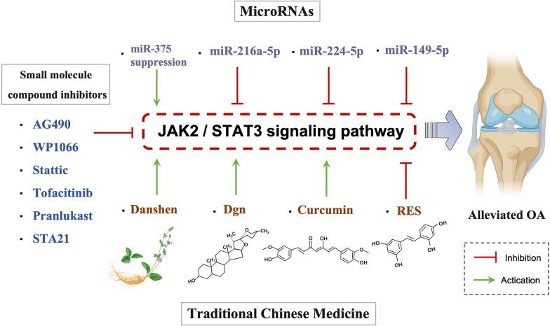 https://cdn.ncbi.nlm.nih.gov/pmc/blobs/03ff/10071628/2c2f6e5b476f/12964_2023_1094_Fig4_HTML.jpg