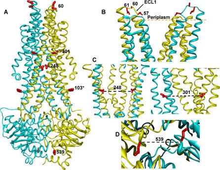 https://cdn.ncbi.nlm.nih.gov/pmc/blobs/0400/2043035/284b9c03d82f/pbio.0050271.g002.jpg