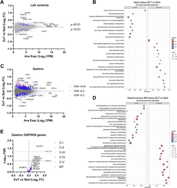 https://cdn.ncbi.nlm.nih.gov/pmc/blobs/0401/12204305/5eadfff84345/FSB2-39-e70702-g003.jpg