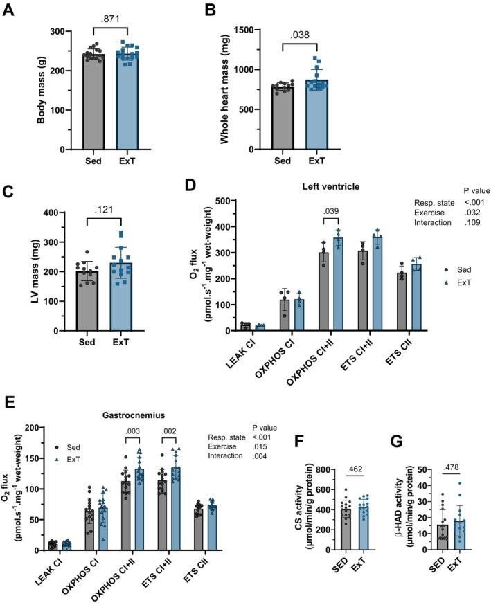 https://cdn.ncbi.nlm.nih.gov/pmc/blobs/0401/12204305/f5c601f5fa5e/FSB2-39-e70702-g004.jpg
