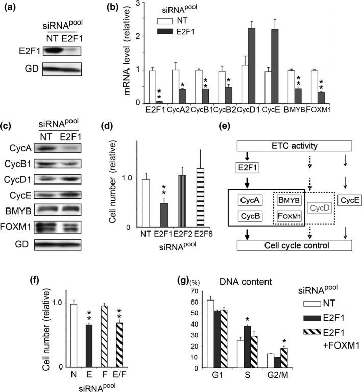 https://cdn.ncbi.nlm.nih.gov/pmc/blobs/0402/4946721/2a9471c41ed6/CAS-107-0963-g003.jpg