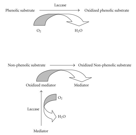 https://cdn.ncbi.nlm.nih.gov/pmc/blobs/0404/2962899/22cb27a0f344/ER2010-149748.001.jpg