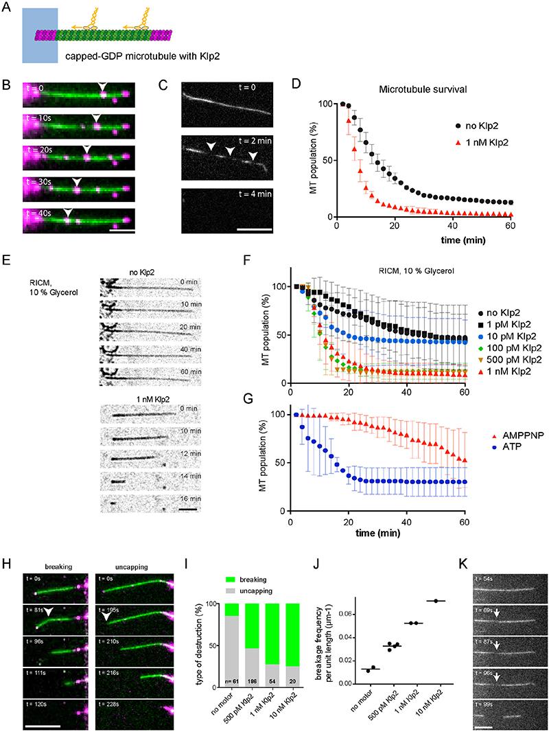 https://cdn.ncbi.nlm.nih.gov/pmc/blobs/0404/7611741/0f11ce560297/EMS135429-f002.jpg