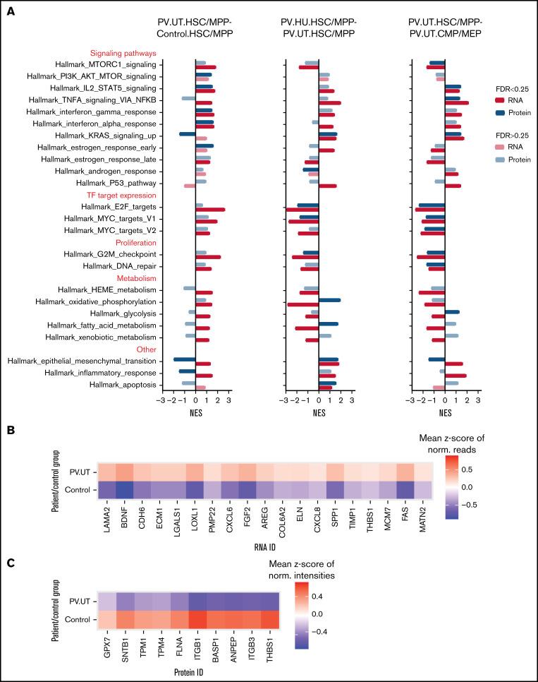 https://cdn.ncbi.nlm.nih.gov/pmc/blobs/0406/9198936/7304bca471d5/advancesADV2021005344f3.jpg