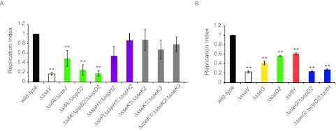 https://cdn.ncbi.nlm.nih.gov/pmc/blobs/0407/3634603/6a3801f8bd28/mbo0021314890003.jpg