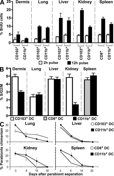 https://cdn.ncbi.nlm.nih.gov/pmc/blobs/0409/2806447/bd35d5f36e22/JEM_20091756_GS_Fig6.jpg