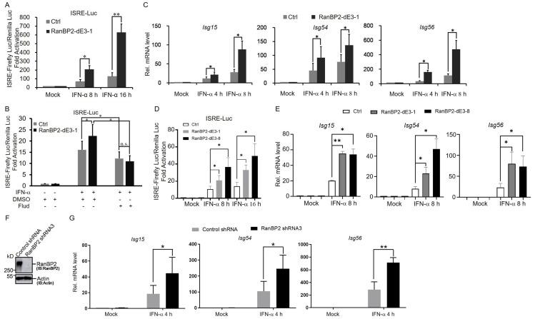 https://cdn.ncbi.nlm.nih.gov/pmc/blobs/040a/10778711/127217d1bfe7/ijms-25-00299-g002.jpg