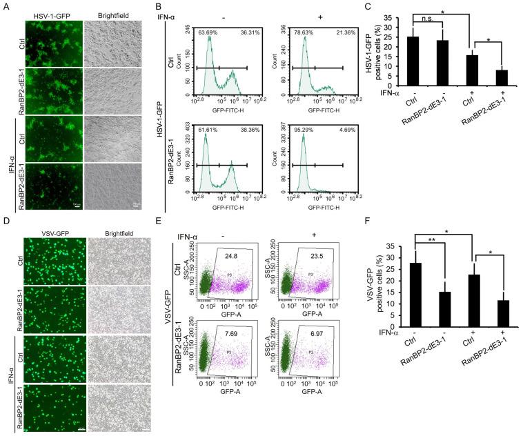 https://cdn.ncbi.nlm.nih.gov/pmc/blobs/040a/10778711/f639e0120909/ijms-25-00299-g005.jpg