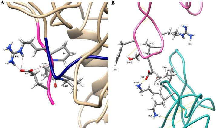 https://cdn.ncbi.nlm.nih.gov/pmc/blobs/040a/11246115/aff1c45487a5/RPS-18-638-g005.jpg