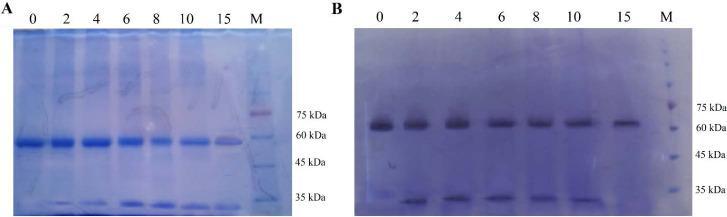 https://cdn.ncbi.nlm.nih.gov/pmc/blobs/040a/11246115/f084feeebdf7/RPS-18-638-g001.jpg