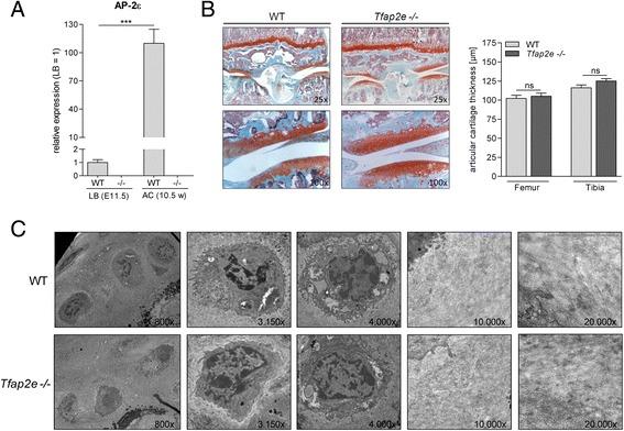 https://cdn.ncbi.nlm.nih.gov/pmc/blobs/040b/4453098/27a8ed994b16/13075_2015_648_Fig3_HTML.jpg