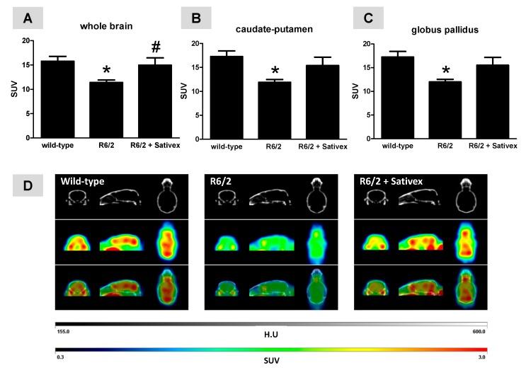 https://cdn.ncbi.nlm.nih.gov/pmc/blobs/040c/5412270/9abb015e0b8b/ijms-18-00684-g002.jpg