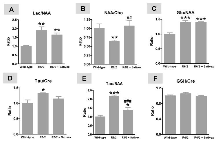 https://cdn.ncbi.nlm.nih.gov/pmc/blobs/040c/5412270/b2b6ed39d548/ijms-18-00684-g003.jpg