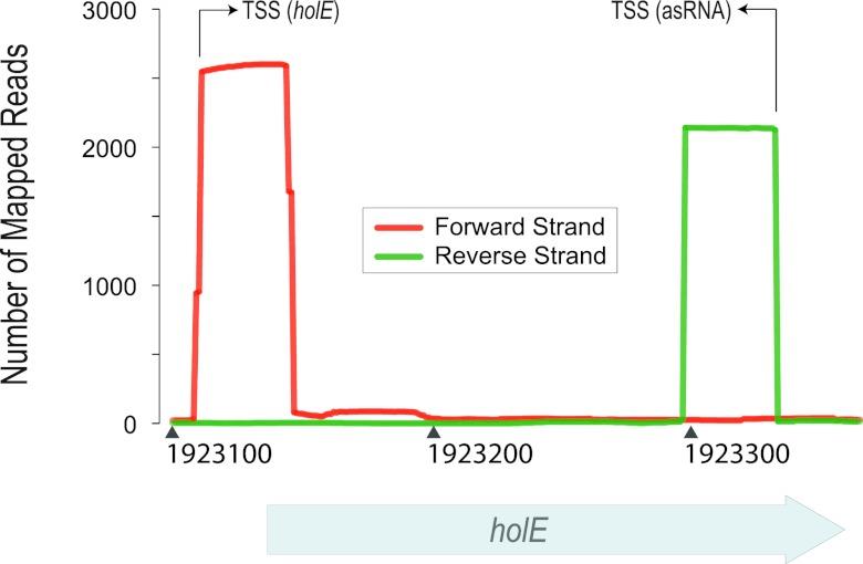 https://cdn.ncbi.nlm.nih.gov/pmc/blobs/040f/3419515/d8767849aca1/mbo0041213080001.jpg