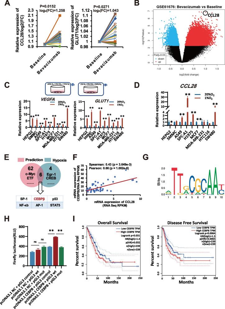 https://cdn.ncbi.nlm.nih.gov/pmc/blobs/0410/11285179/34a74330853e/13046_2024_3135_Fig1_HTML.jpg