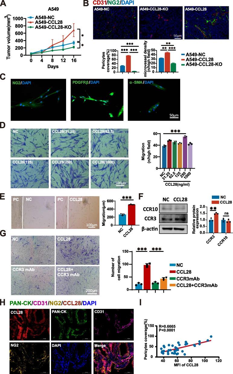 https://cdn.ncbi.nlm.nih.gov/pmc/blobs/0410/11285179/d7b3ee5dd9b1/13046_2024_3135_Fig2_HTML.jpg