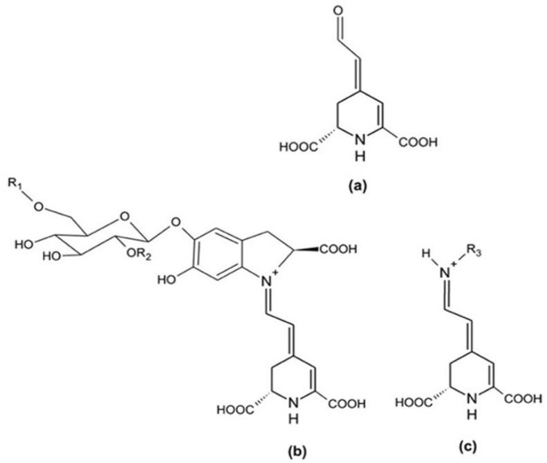 https://cdn.ncbi.nlm.nih.gov/pmc/blobs/0410/11990121/743dc04aee92/plants-14-00994-g001.jpg