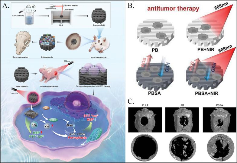 https://cdn.ncbi.nlm.nih.gov/pmc/blobs/0411/11568558/3ecb85dc4c0d/12967_2024_5845_Fig4_HTML.jpg