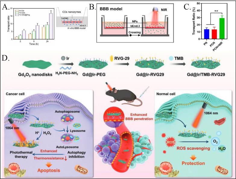 https://cdn.ncbi.nlm.nih.gov/pmc/blobs/0411/11568558/54c311c4281c/12967_2024_5845_Fig2_HTML.jpg