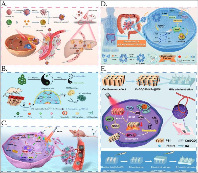 https://cdn.ncbi.nlm.nih.gov/pmc/blobs/0411/11568558/d4745eee3ada/12967_2024_5845_Fig3_HTML.jpg