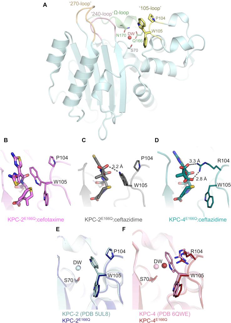 https://cdn.ncbi.nlm.nih.gov/pmc/blobs/0412/7949053/5a7ee7f4eb5a/gr5.jpg