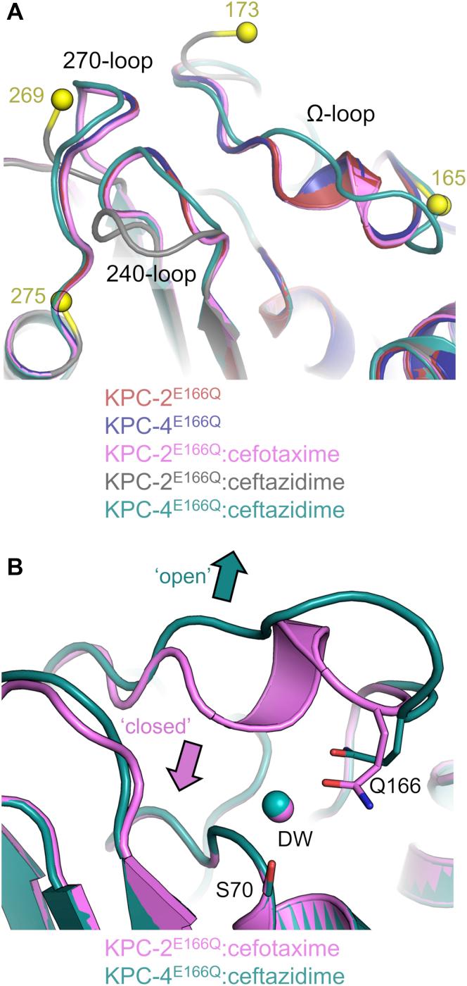 https://cdn.ncbi.nlm.nih.gov/pmc/blobs/0412/7949053/afe7a07e7c34/gr3.jpg