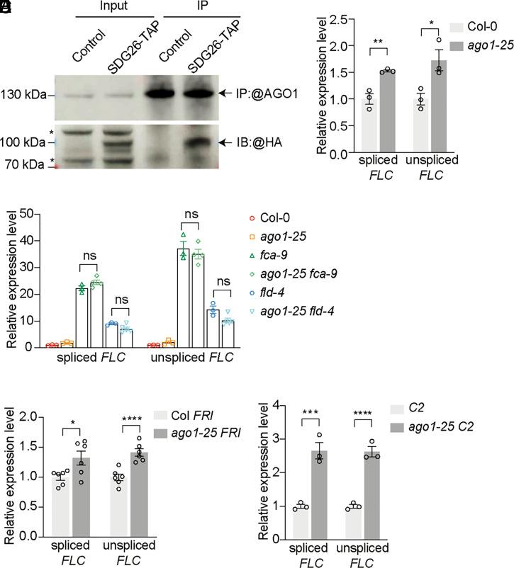 https://cdn.ncbi.nlm.nih.gov/pmc/blobs/0415/8617408/54cd21e1941b/pnas.202113757fig01.jpg