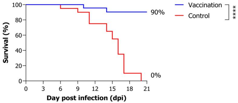 https://cdn.ncbi.nlm.nih.gov/pmc/blobs/0418/12189318/97cdd4e2feac/animals-15-01728-g001.jpg