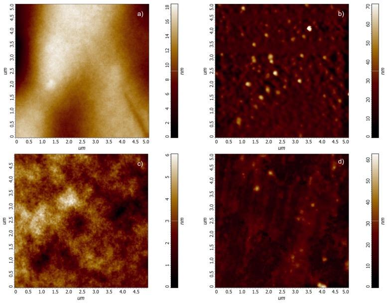https://cdn.ncbi.nlm.nih.gov/pmc/blobs/0419/6960831/9a00a0499347/polymers-11-02069-g003.jpg