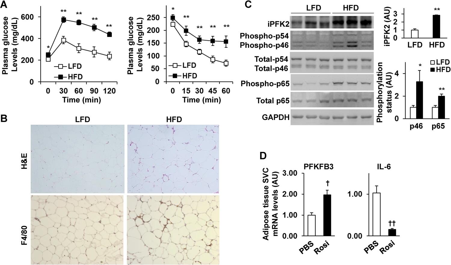 https://cdn.ncbi.nlm.nih.gov/pmc/blobs/0419/7897240/c102461d0c40/nihms-1651668-f0001.jpg
