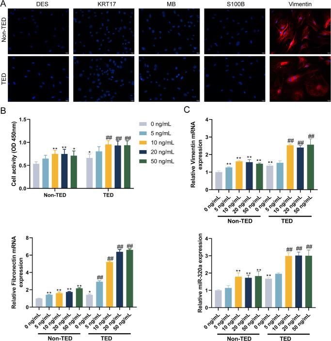 https://cdn.ncbi.nlm.nih.gov/pmc/blobs/041a/12270022/ce5c3462823f/iovs-66-9-41-f002.jpg