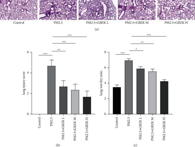 https://cdn.ncbi.nlm.nih.gov/pmc/blobs/041a/8986406/7afb46236804/JHE2022-8450673.001.jpg