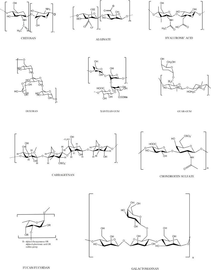 https://cdn.ncbi.nlm.nih.gov/pmc/blobs/041b/10540072/79ddb137eb7e/fbioe-11-1270364-g002.jpg
