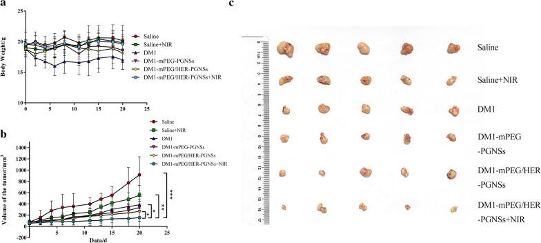 https://cdn.ncbi.nlm.nih.gov/pmc/blobs/041b/7976706/9b80b4560a27/12951_2021_824_Fig8_HTML.jpg