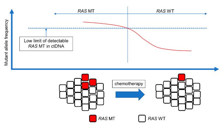 https://cdn.ncbi.nlm.nih.gov/pmc/blobs/0420/10001242/075ce1c31d82/cancers-15-01473-g002.jpg