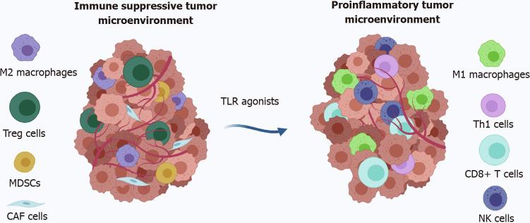 https://cdn.ncbi.nlm.nih.gov/pmc/blobs/0421/9611702/04f913c79034/WJG-28-5403-g002.jpg