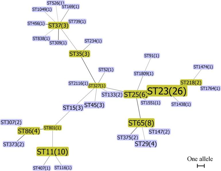 https://cdn.ncbi.nlm.nih.gov/pmc/blobs/0424/7090111/5a70957cc9a5/fmicb-11-00436-g001.jpg