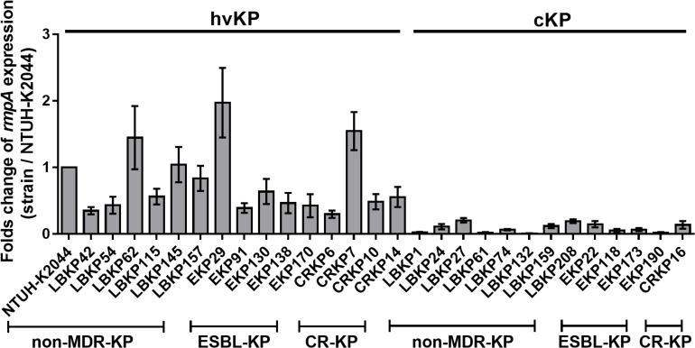 https://cdn.ncbi.nlm.nih.gov/pmc/blobs/0424/7090111/897fab150cbb/fmicb-11-00436-g002.jpg