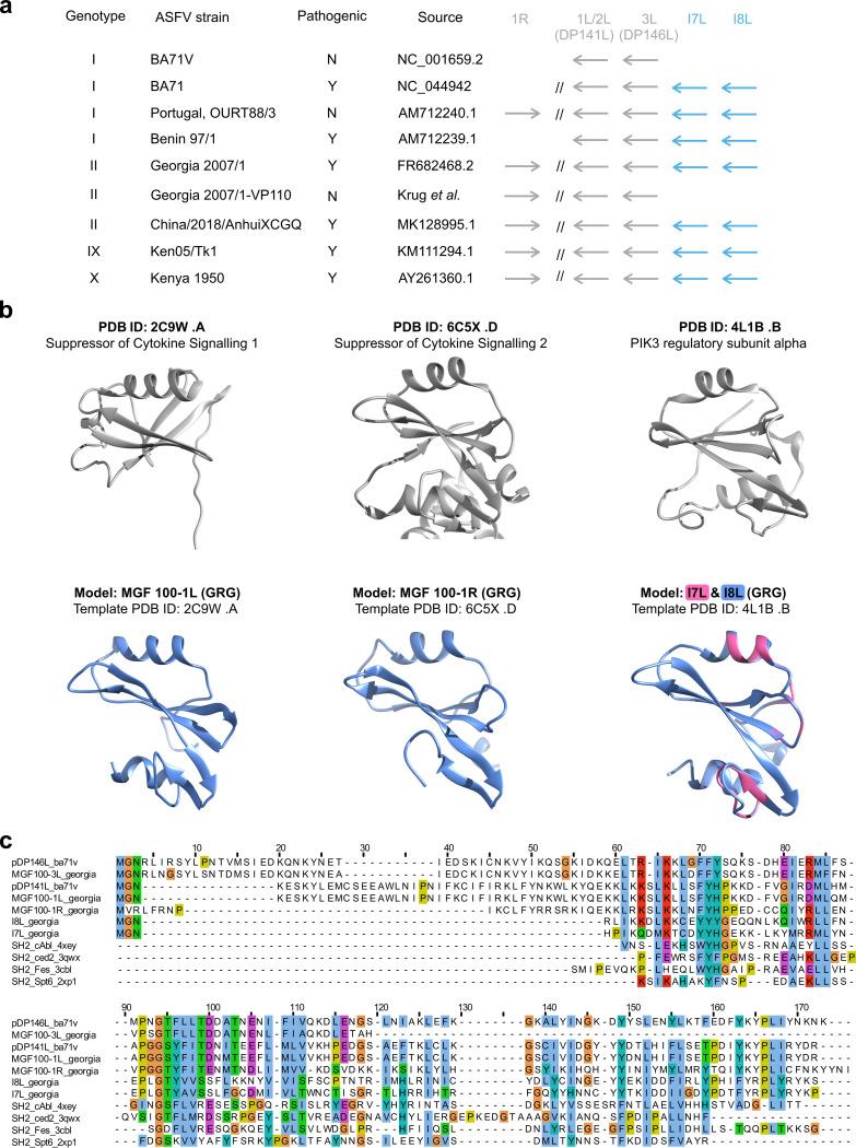 https://cdn.ncbi.nlm.nih.gov/pmc/blobs/0424/8906413/2b5204e0332a/jvi.01939-21-f010.jpg