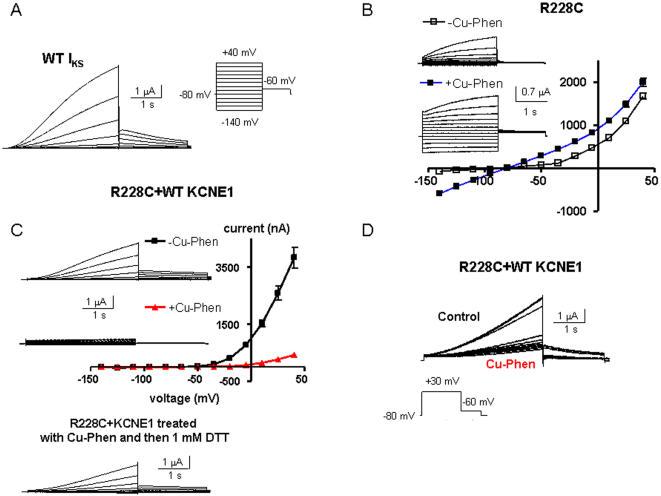 https://cdn.ncbi.nlm.nih.gov/pmc/blobs/0428/2275793/254a0b4a44db/pone.0001943.g009.jpg
