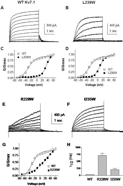 https://cdn.ncbi.nlm.nih.gov/pmc/blobs/0428/2275793/694785a4967b/pone.0001943.g003.jpg