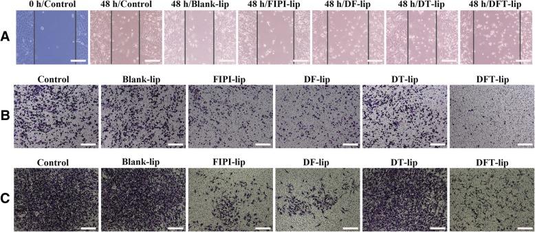 https://cdn.ncbi.nlm.nih.gov/pmc/blobs/0428/6473021/1f3094b545ad/11671_2019_2964_Fig6_HTML.jpg