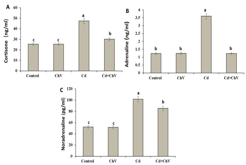 https://cdn.ncbi.nlm.nih.gov/pmc/blobs/0429/10525457/a439b7d0b982/biomedicines-11-02414-g001.jpg