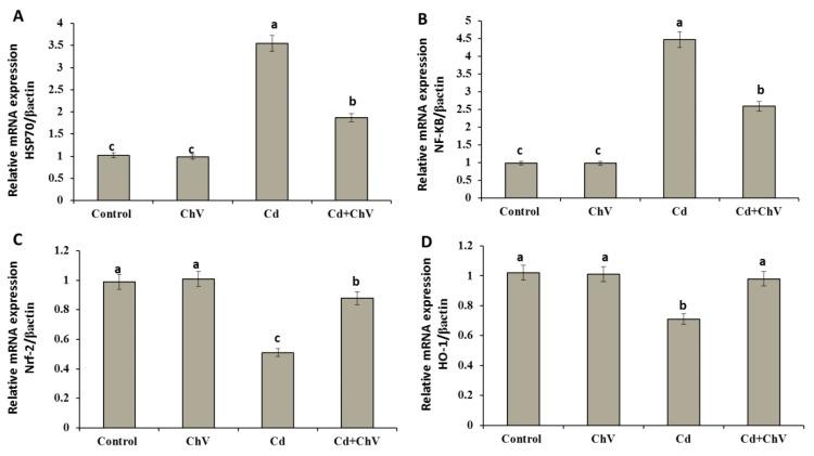 https://cdn.ncbi.nlm.nih.gov/pmc/blobs/0429/10525457/c5ca4e726b9d/biomedicines-11-02414-g002.jpg