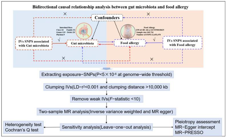 https://cdn.ncbi.nlm.nih.gov/pmc/blobs/042b/12114084/646e92c7a2fe/nutrients-17-01611-g001.jpg