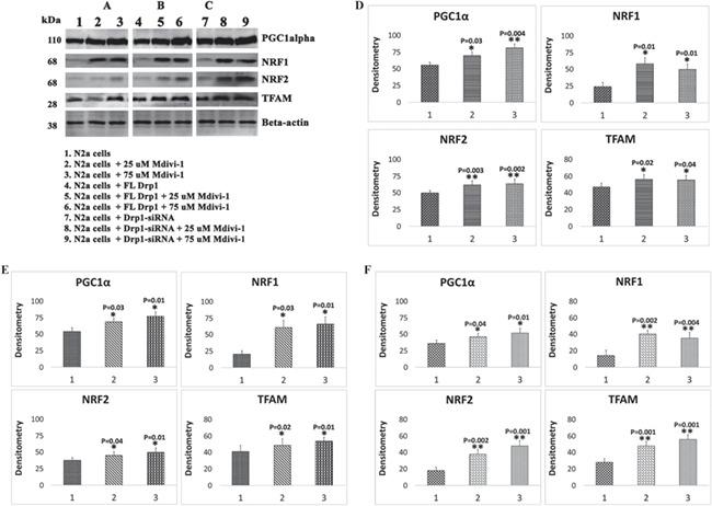 https://cdn.ncbi.nlm.nih.gov/pmc/blobs/042c/6322070/c34b4677df63/ddy335f2.jpg