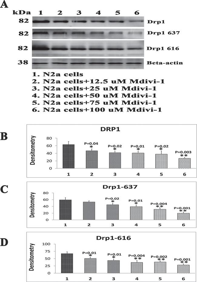 https://cdn.ncbi.nlm.nih.gov/pmc/blobs/042c/6322070/e4259527a4f4/ddy335f4.jpg