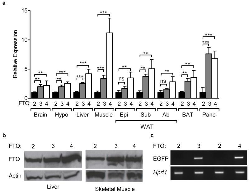 https://cdn.ncbi.nlm.nih.gov/pmc/blobs/042e/3018646/421422b8234d/ukmss-32984-f0001.jpg