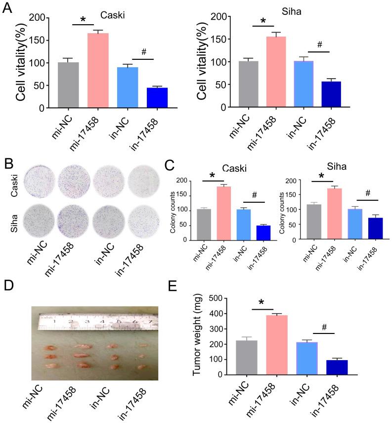 https://cdn.ncbi.nlm.nih.gov/pmc/blobs/042f/10266240/9617aa490543/jcav14p1648g002.jpg