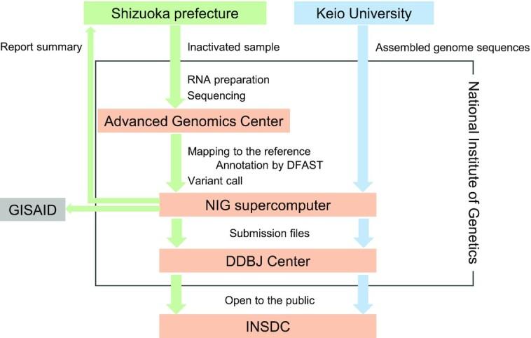 https://cdn.ncbi.nlm.nih.gov/pmc/blobs/0430/8728156/ddb15a123856/gkab995fig1.jpg